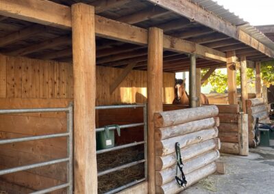 parc cheval exterieur